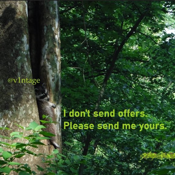 Old Navy Winter Ear Flap Beanie Colorblock Gray Yellow One Size - Picture 8 of 9